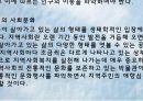 지역사회복지의 실천원칙과 과정 10페이지