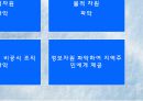 지역사회복지의 실천원칙과 과정 12페이지