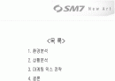 국내 중대형 승용차시장에서 새로 진입하는 르노 삼성 SM7의 마케팅 믹스 2페이지