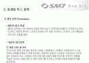 국내 중대형 승용차시장에서 새로 진입하는 르노 삼성 SM7의 마케팅 믹스 18페이지