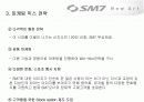 국내 중대형 승용차시장에서 새로 진입하는 르노 삼성 SM7의 마케팅 믹스 19페이지