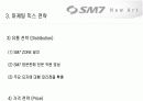 국내 중대형 승용차시장에서 새로 진입하는 르노 삼성 SM7의 마케팅 믹스 20페이지