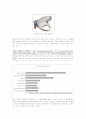 [마케팅원론]히트상품  사례조사(리포트) 7페이지