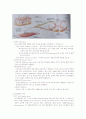 신경학-중추신경계 14페이지