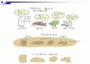 황사에 대한 보건교육 ppt 12페이지