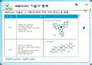 AMOLED의 구조와 그것의 구동원리 및 특징에 대한 조사와 이 기술의 향후 전망에 대하여  12페이지