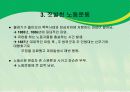 알려지지 않은 미국 노동운동 이야기 ppt 자료. 7페이지