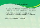 알려지지 않은 미국 노동운동 이야기 ppt 자료. 8페이지