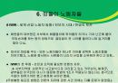 알려지지 않은 미국 노동운동 이야기 ppt 자료. 14페이지