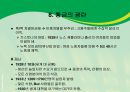 알려지지 않은 미국 노동운동 이야기 ppt 자료. 21페이지