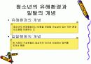 청소년 문제에 대한 유해 환경의 영향 5페이지