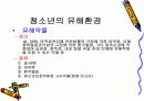 청소년 문제에 대한 유해 환경의 영향 10페이지