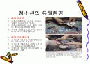 청소년 문제에 대한 유해 환경의 영향 12페이지