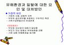 청소년 문제에 대한 유해 환경의 영향 20페이지