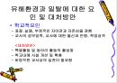 청소년 문제에 대한 유해 환경의 영향 21페이지