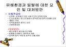 청소년 문제에 대한 유해 환경의 영향 22페이지