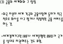통상정책의 세계화와 반세계화 11페이지