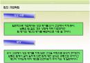 팀조직에 관하여 20페이지