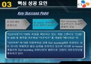 CJ엔터테이먼트의 전략 및 분석 21페이지