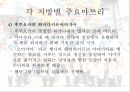 [일본, 일본의 문화, 일본의 축제, 일본사회] 일본의 축제문화 마쯔리 26페이지