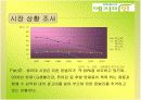 [마케팅조사]한방생리대 `예지미인` 커뮤니케이션 전략 6페이지