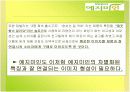 [마케팅조사]한방생리대 `예지미인` 커뮤니케이션 전략 14페이지