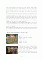 치즈의 모든 것 21페이지