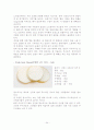 치즈의 모든 것 34페이지