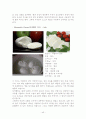 치즈의 모든 것 49페이지