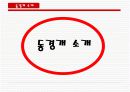 동경개 조사 10페이지