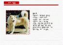 동경개 조사 19페이지