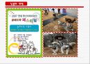 동경개 조사 24페이지