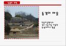 동경개 조사 28페이지