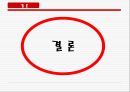 동경개 조사 31페이지
