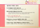 던킨도너츠 마케팅분석 28페이지