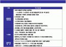 다국적 글로벌 기업 월마트성공 경영전략과 한국시장의실패분석 7페이지