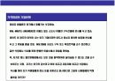 다국적 글로벌 기업 월마트성공 경영전략과 한국시장의실패분석 15페이지