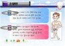 체질별 다이어트 13페이지