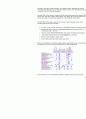 오라클9i와 sql의 비교분석 자료 50페이지