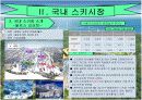 스노우캐슬 활성화방안 10페이지