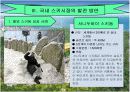 스노우캐슬 활성화방안 13페이지