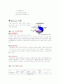 청소년 문제의 원인과 실태 2페이지