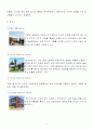 한국타이어 경영분석(05~07년) 5페이지