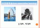 학습 고전적 조건 형성 조작적 조건 형성 9페이지