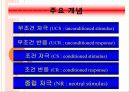학습 고전적 조건 형성 조작적 조건 형성 13페이지
