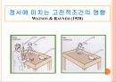 학습 고전적 조건 형성 조작적 조건 형성 26페이지