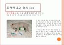 학습 고전적 조건 형성 조작적 조건 형성 37페이지
