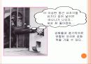 학습 고전적 조건 형성 조작적 조건 형성 39페이지