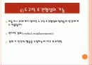 학습 고전적 조건 형성 조작적 조건 형성 43페이지