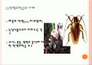 학습 고전적 조건 형성 조작적 조건 형성 55페이지